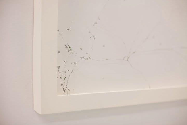 A framed work on paper with fine numbered line drawings