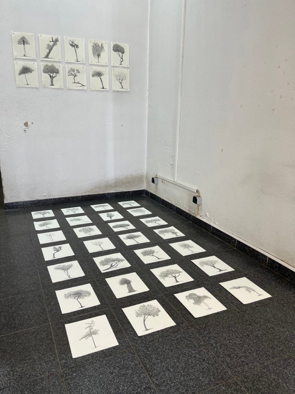 Territory at Sluice Lisbon, installation view 1
