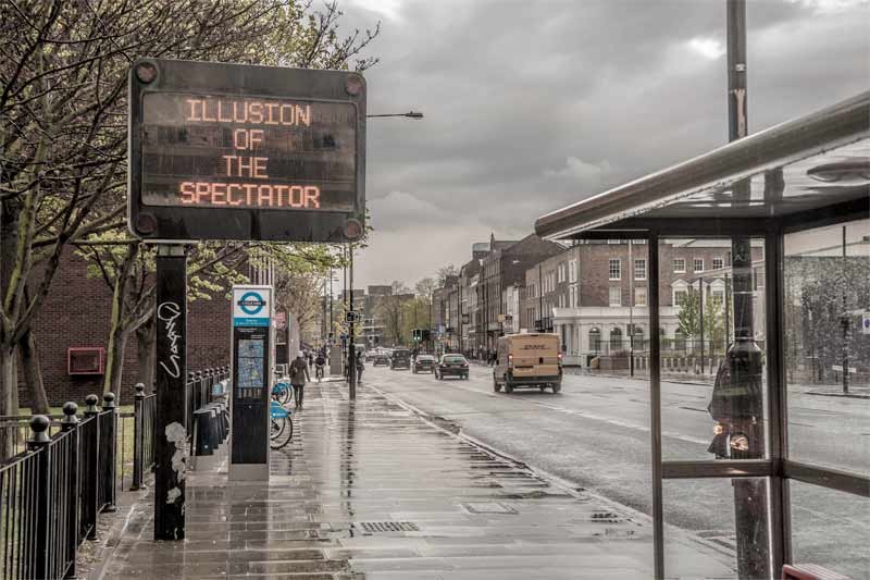 Cover of Illusion of the Spectator 