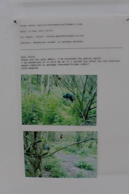 Bastard Children of Pop — wall-mounted printed email with two photographs of Hackney Marshes