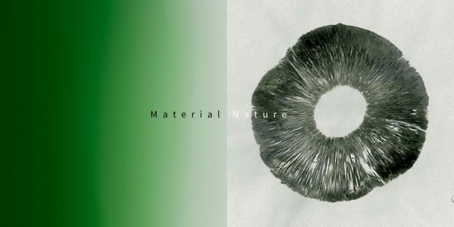 Cover of Material Nature 