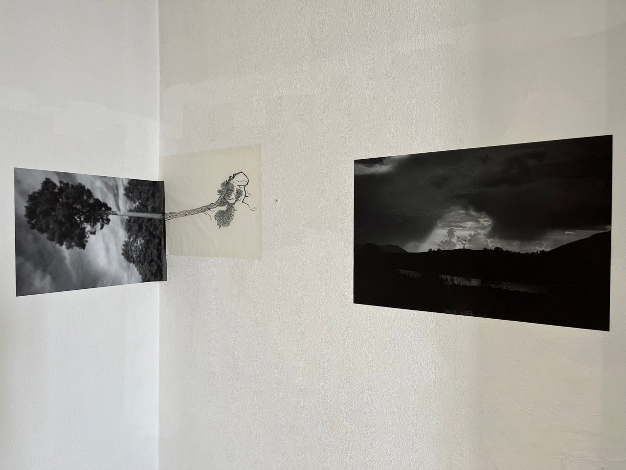Territory at Sluice Lisbon, installation view 3